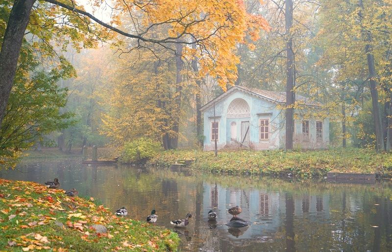 Autumn morning фото превью