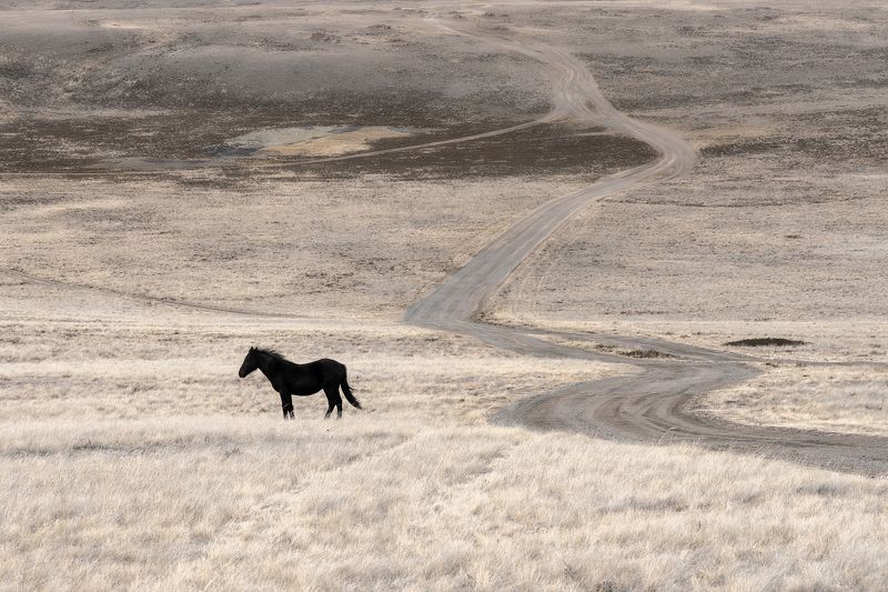 Алтай В ожидании Ильи Муромца фото превью