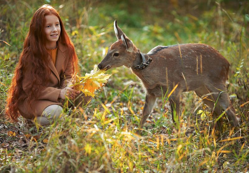 девочка,олененок,встреча,осень, эмоции, прогулка, girl, fawn, autumn, emotional, nature Чудесная встреча фото превью