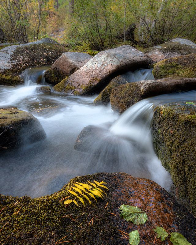 На карповских порогах 2 фото превью