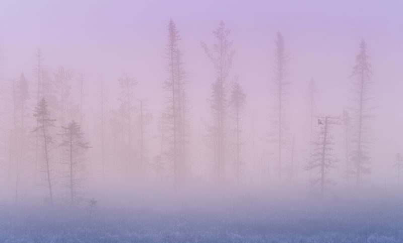Молоко фото превью