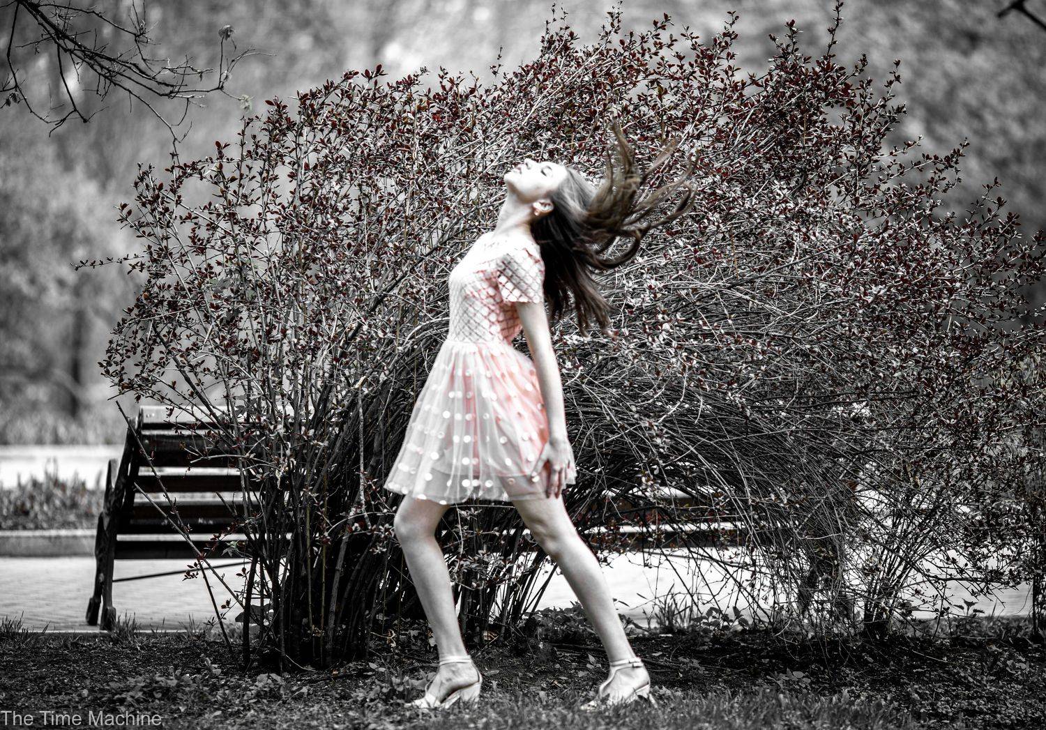 , Михаил Бове