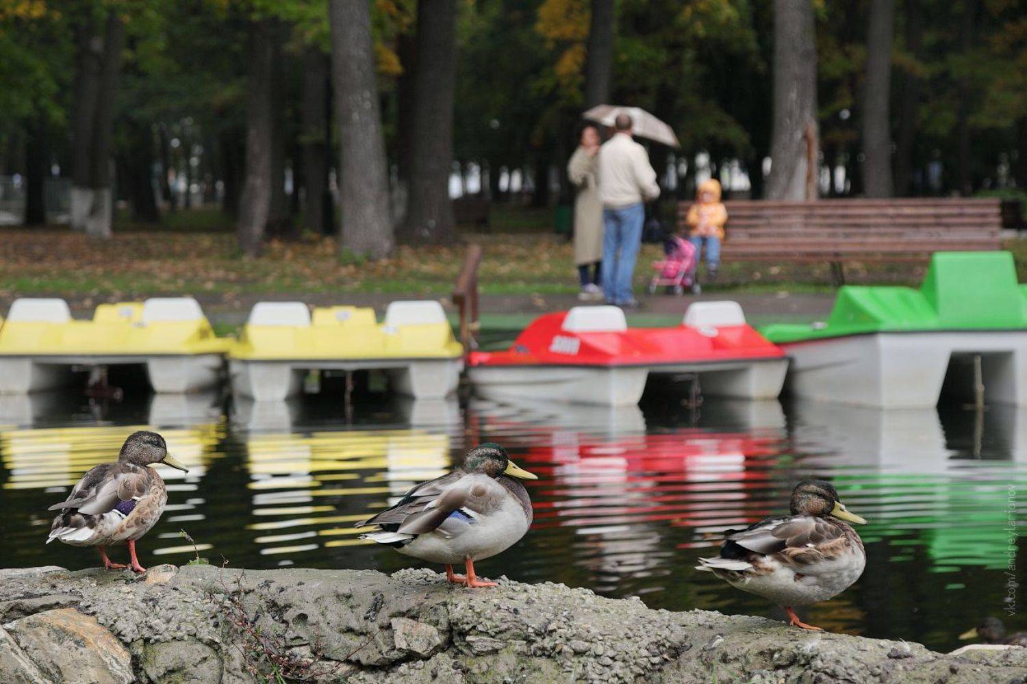 , Андрей Ларионов