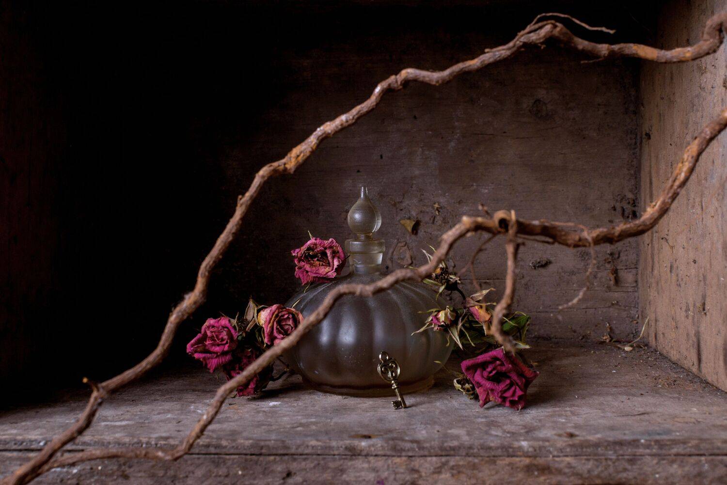 , Чепрасова Мария