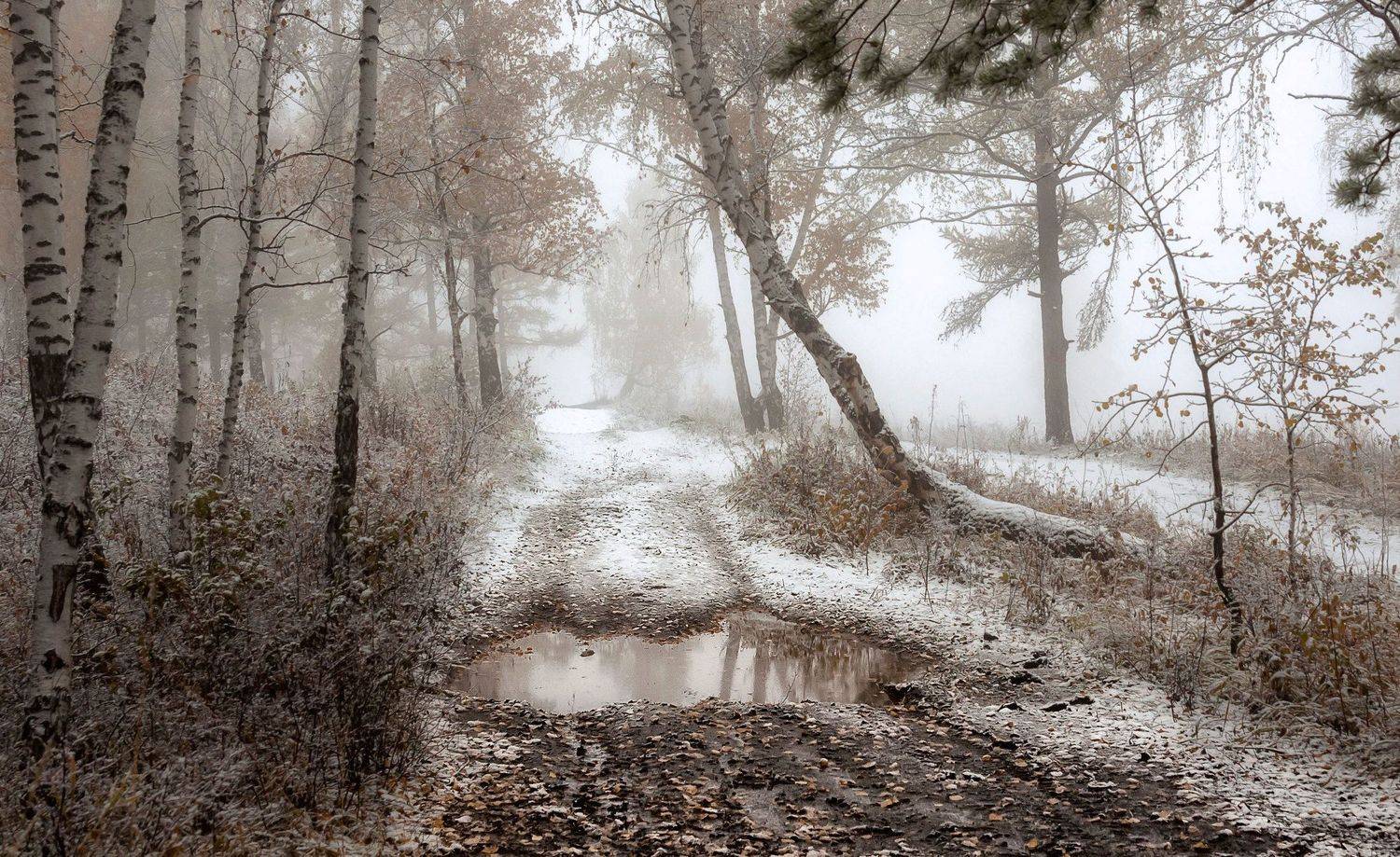 октябрь, торгашинский хребет, осень, снег, лужи, Марина Фомина