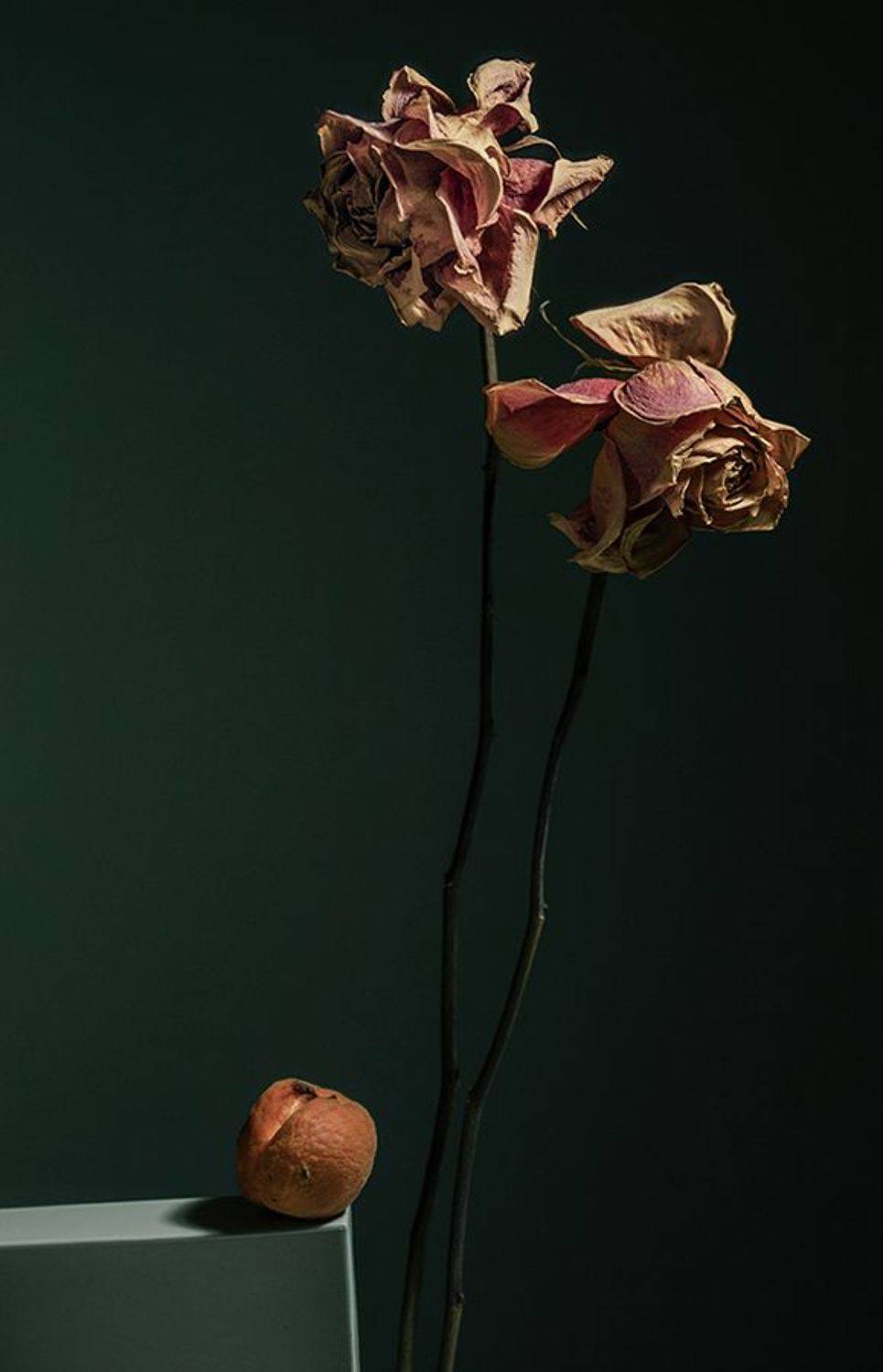 лю, алиса, Лю Алиса