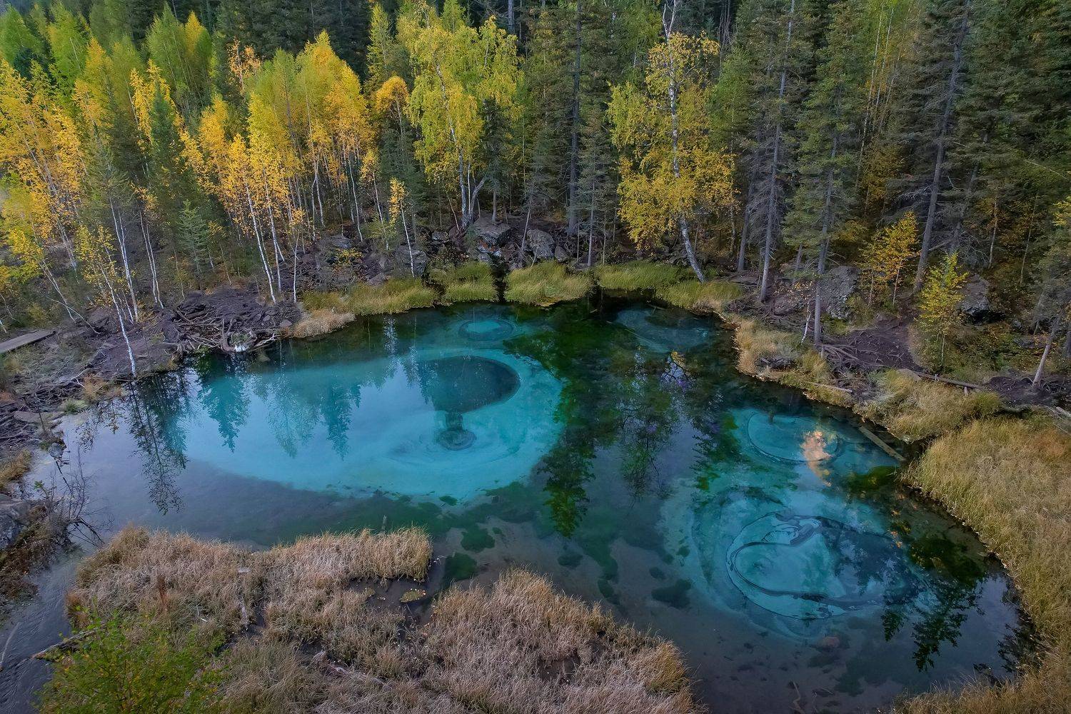 озеро, гейзерное озеро, алтай, природа, пейзаж, dji, путешествие, Максим Подосинников