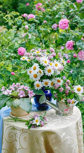 Ромашки, розы, фиалки и клевер