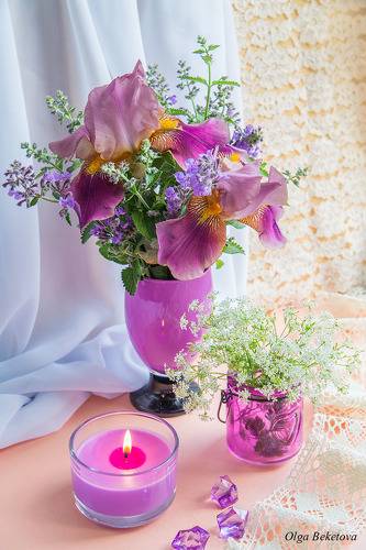 Сиреневые ирисы