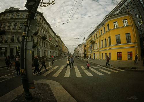 Питерская жизнь