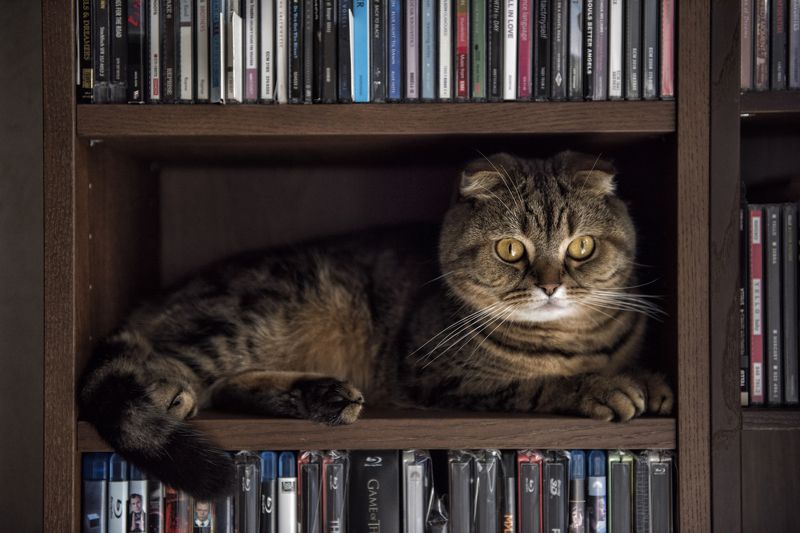 *** фото превью