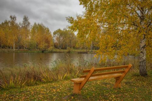 Осень, дождь