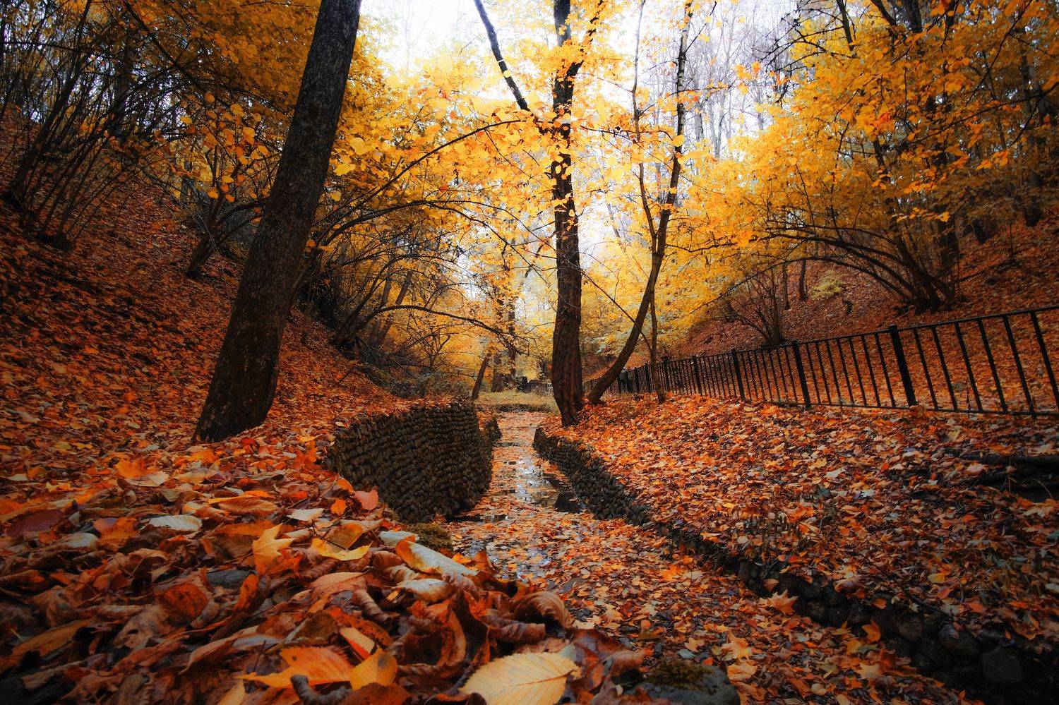 , Екатерина