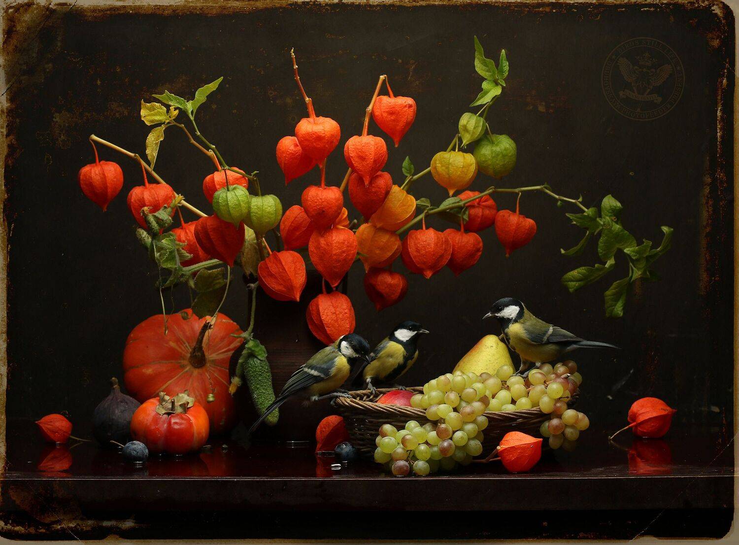 parus major, Хромушин Олег