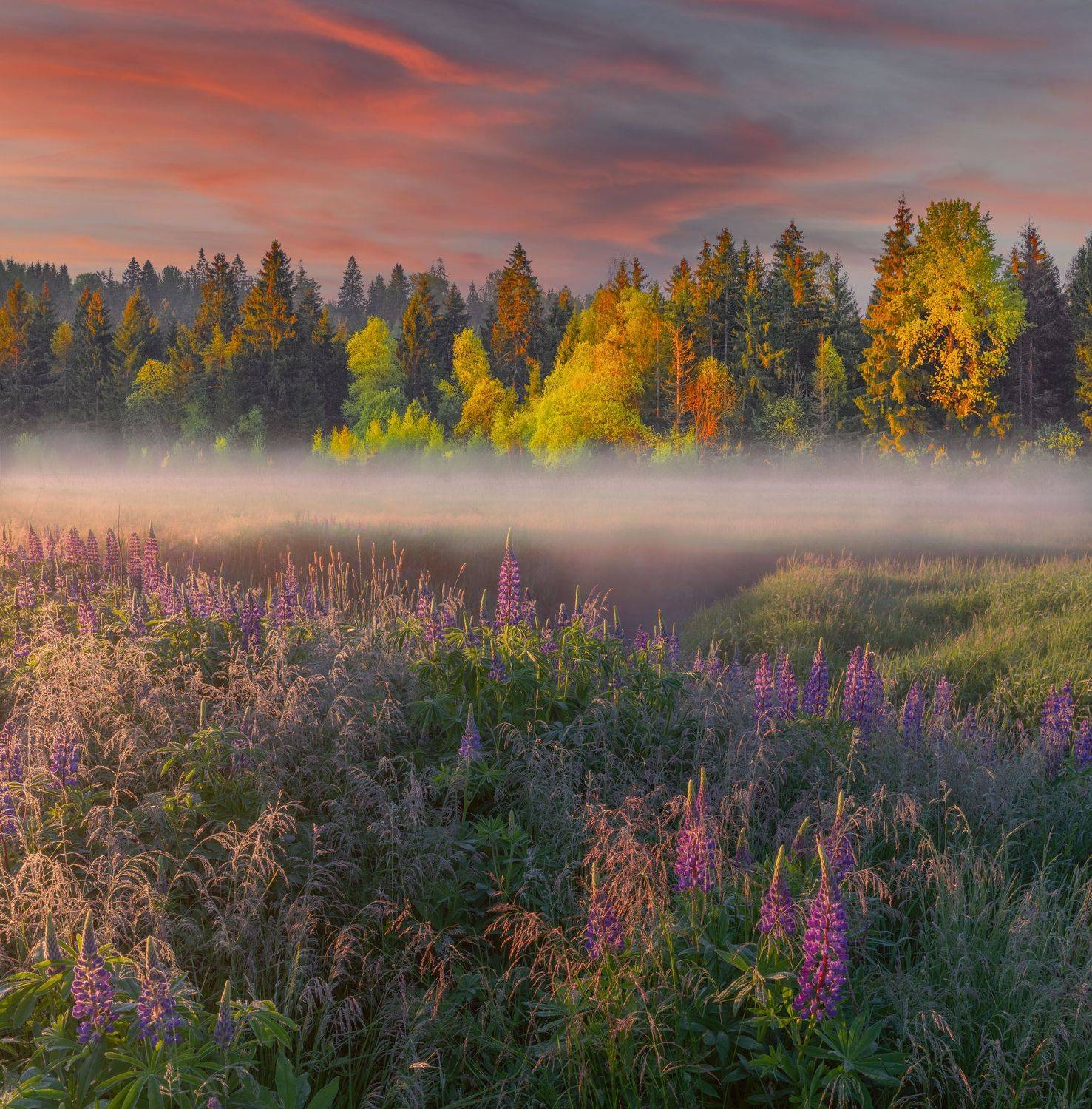 Фототуры с Владимиром Рябковым, #topnature #russpasibo #magic_shots #lovelyRussia #sunset_vision #exclusive_sky  #exclusive_shots #loves_russia2 #photoarena_nature #nature_sultans #nature_perfection #rsa_sky #rsa_sunset #photorussia #rsa_naturepics #sunse, Владимир Рябков