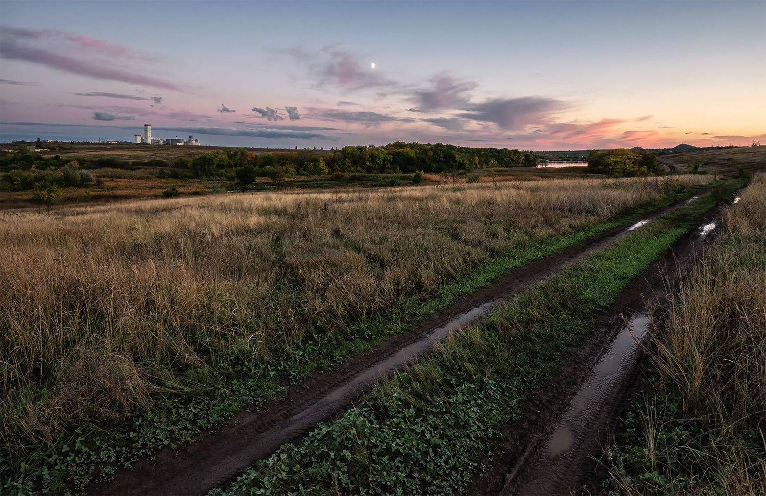 Пейзаж, природа, донбасс, дорога, луг, трава, деревья, Диденко Юрий