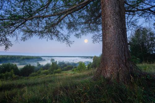 Туман над рекой у деревни Верхний Воч