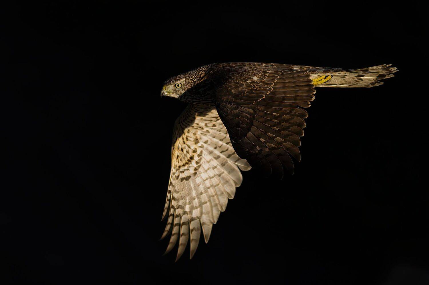 , Калинин Михаил