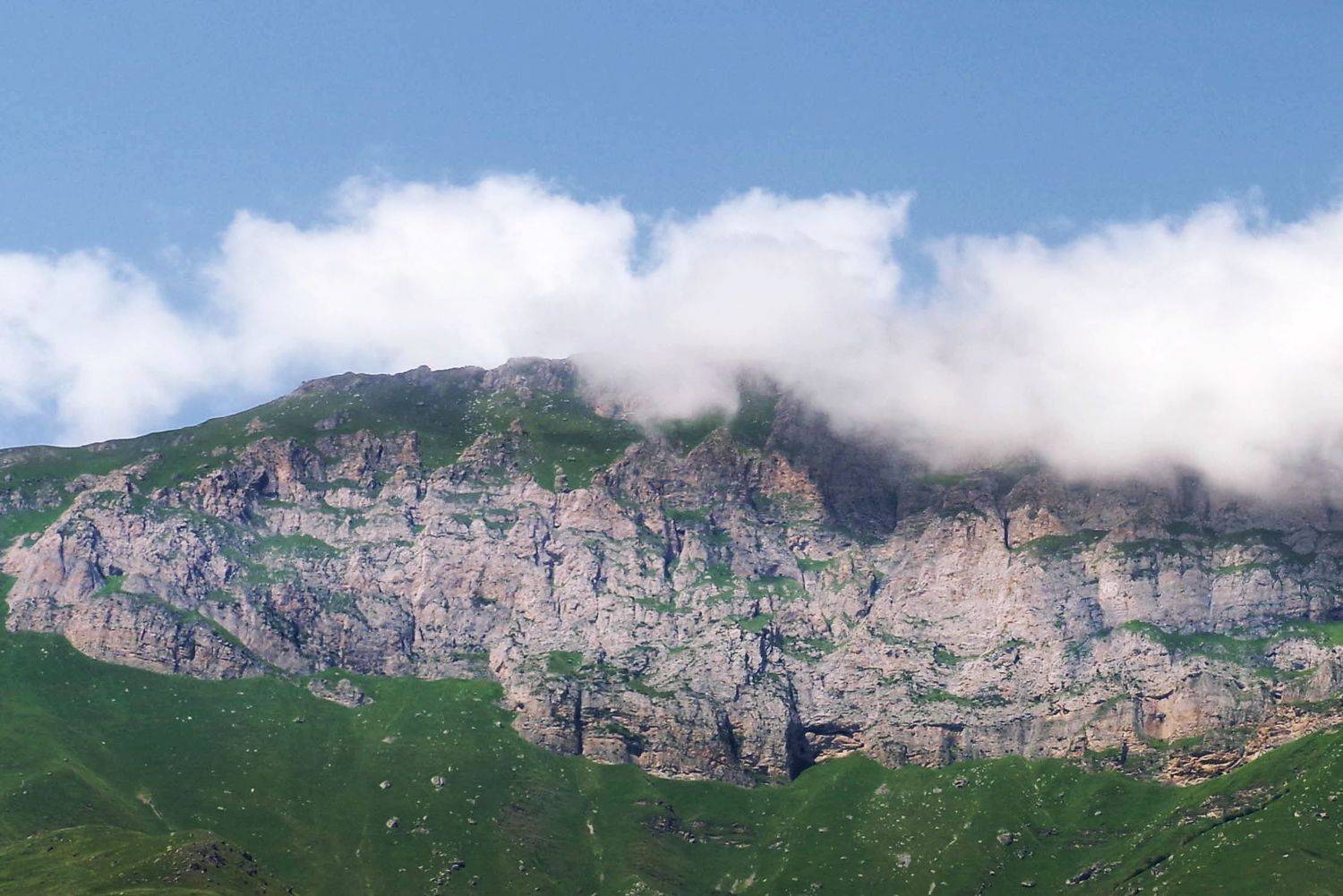 , Ольга Беккер