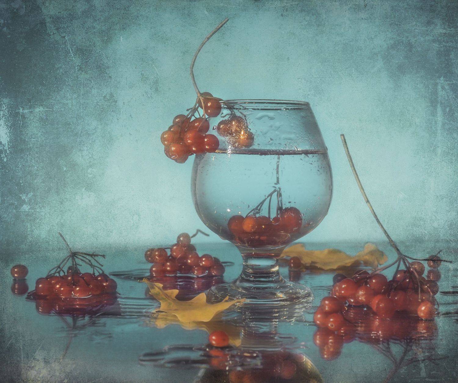 прохлада,время,калина,осень,красная,гроздь,бокал,дождь,капли, Володин Владимир Владимирович