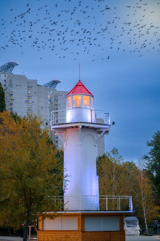 фото превью