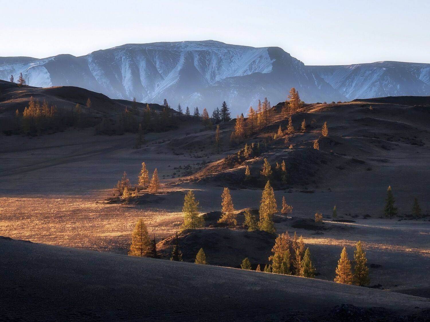 , Сергей Межин