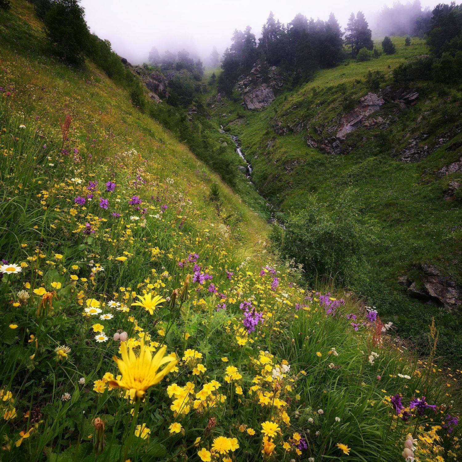 архыз баритовый перевал, Чевтаев Егор
