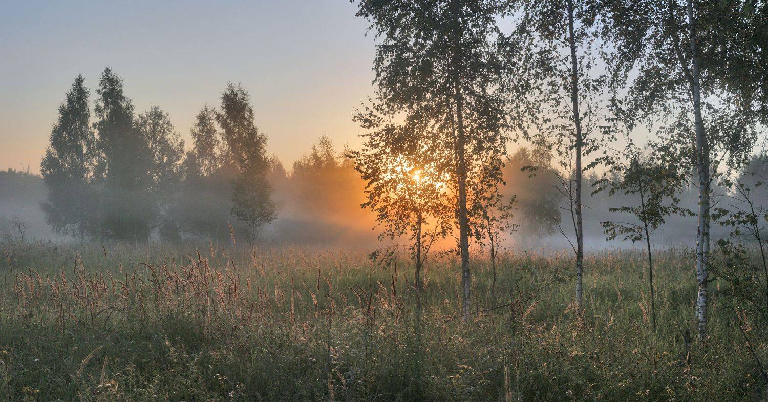 утро , солнце , лес, Александр Свистков