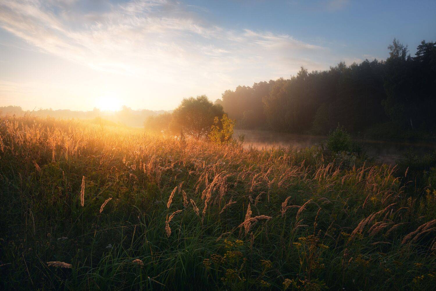природа, рассвет, пейзаж, лето, солнце, Россия, Мартыненко Дмитрий