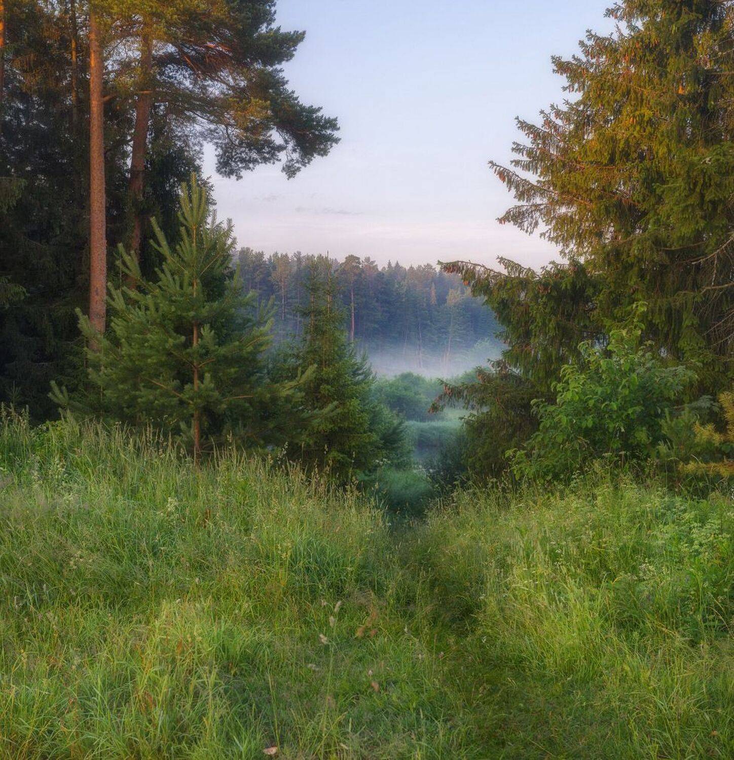 ,  Михаил