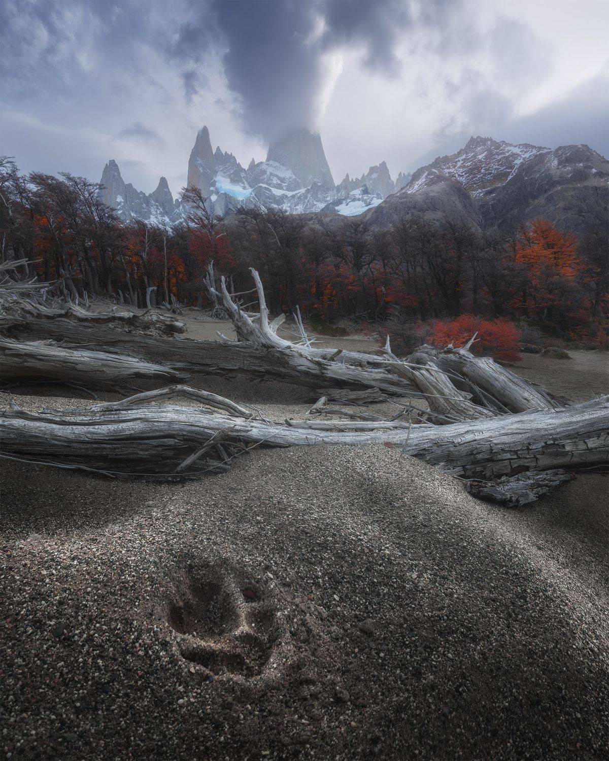 , Политова Анна