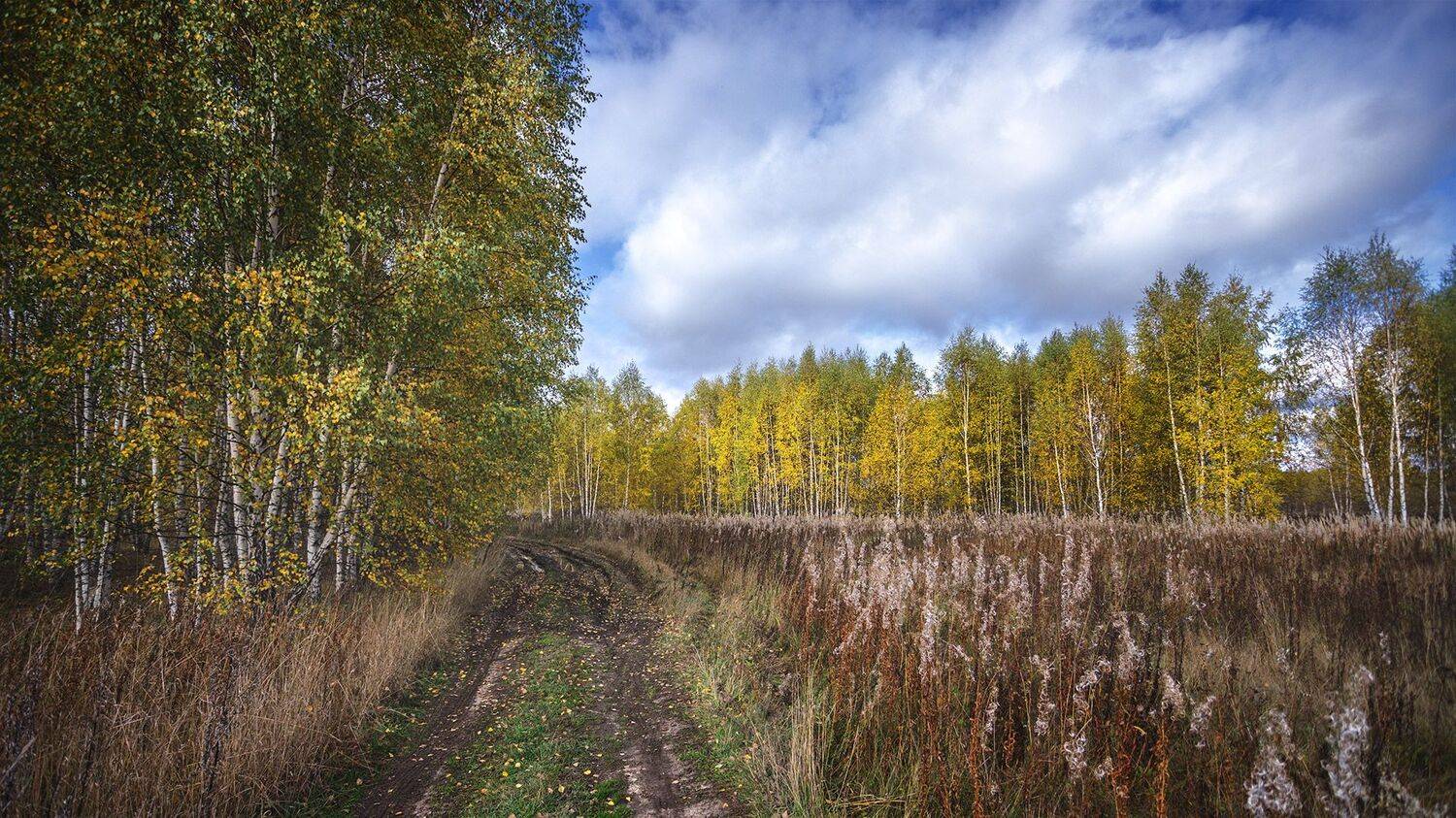 , Андреев Николай