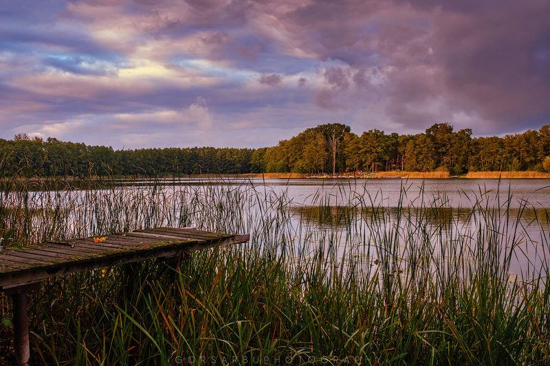 Pond фото превью