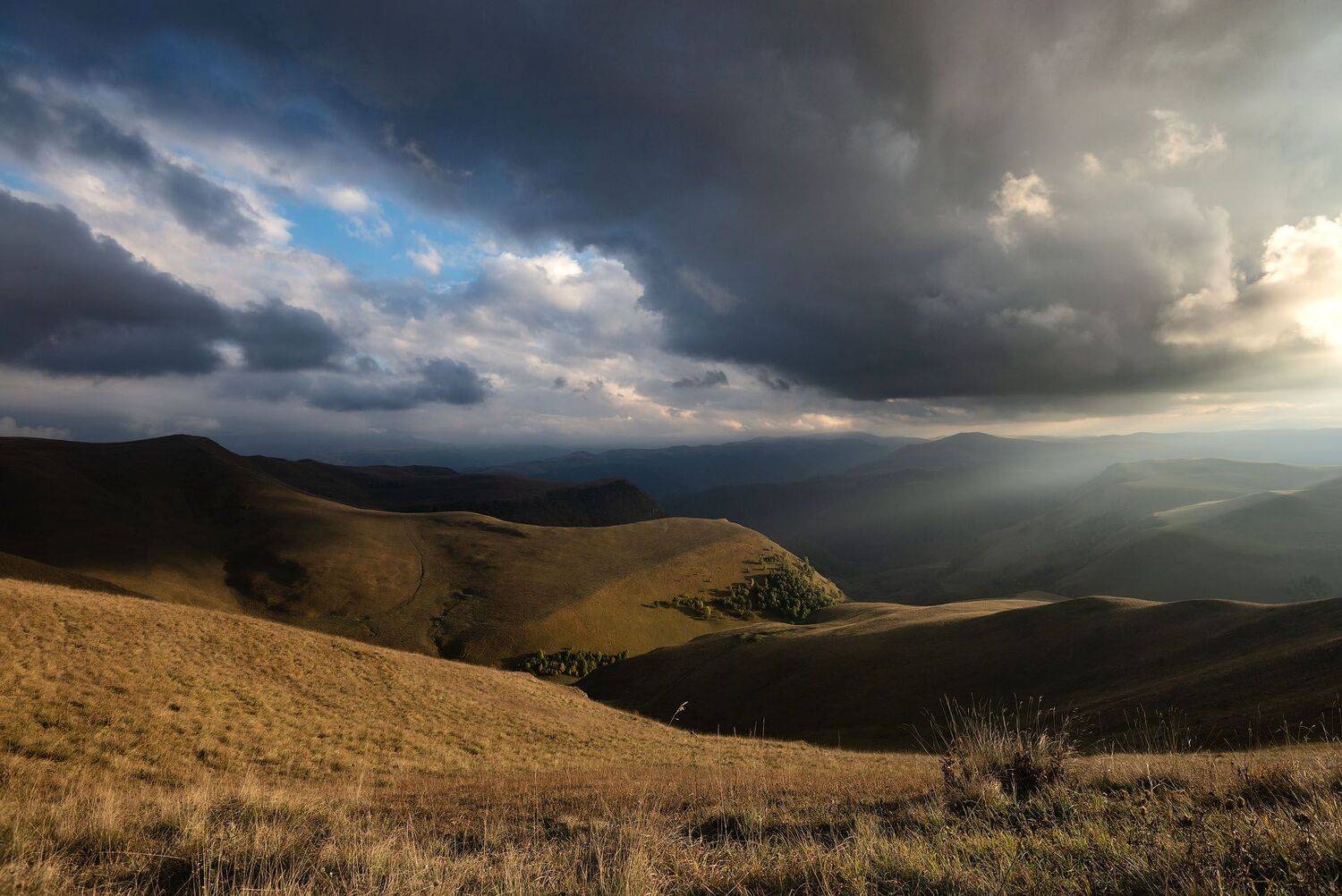 , Шевченко Юрий