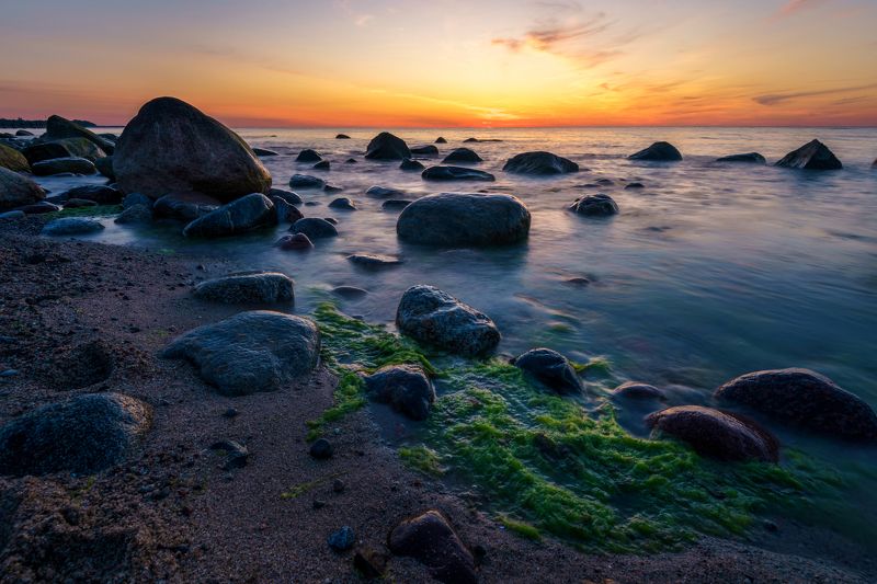 балтийское море, закат, камни * фото превью