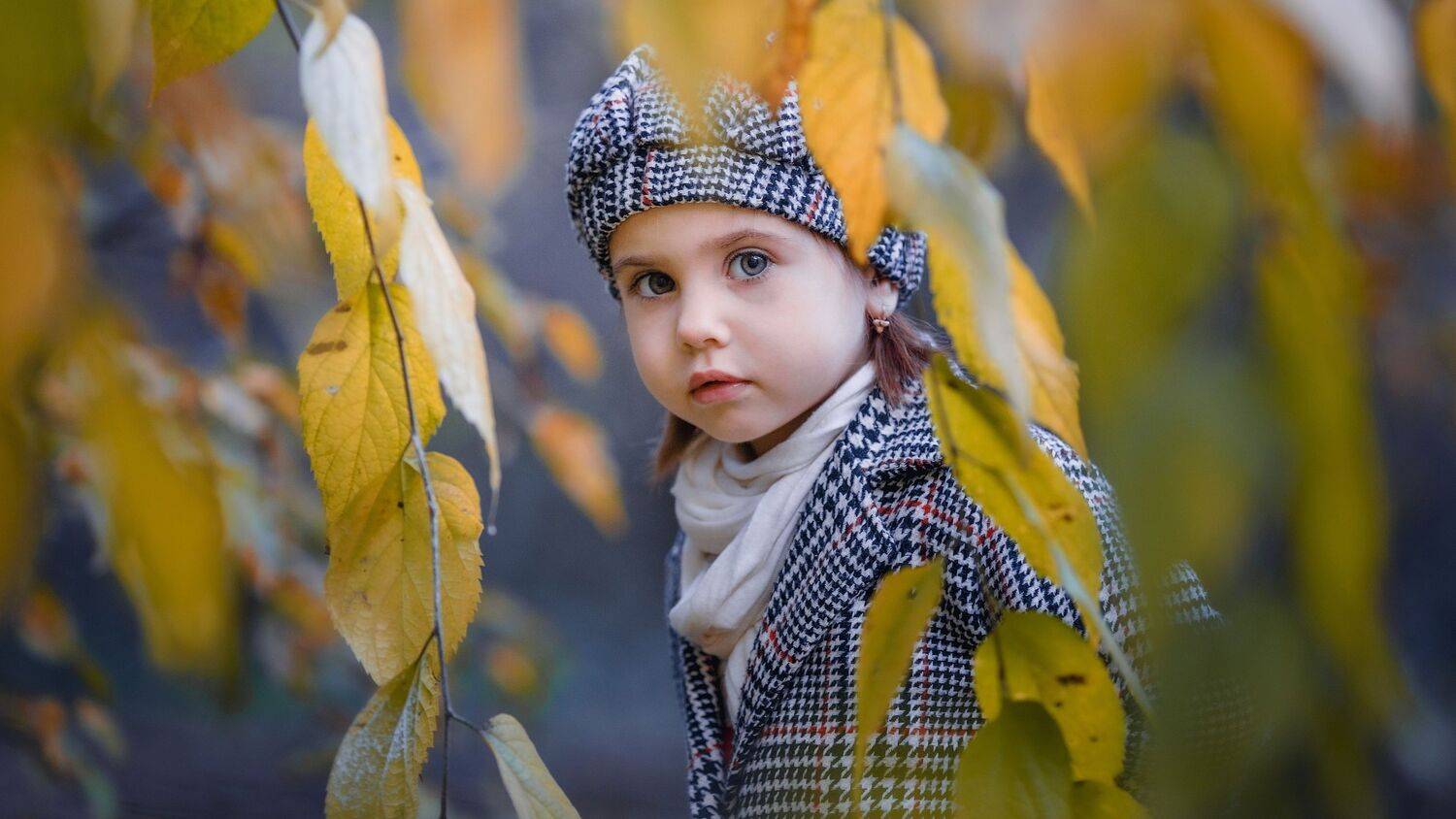 , Владимир Осауленко