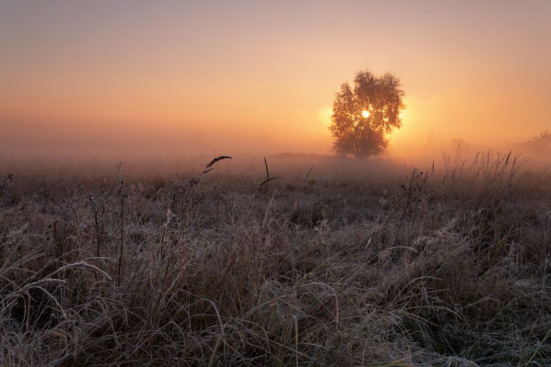 . . . фото превью