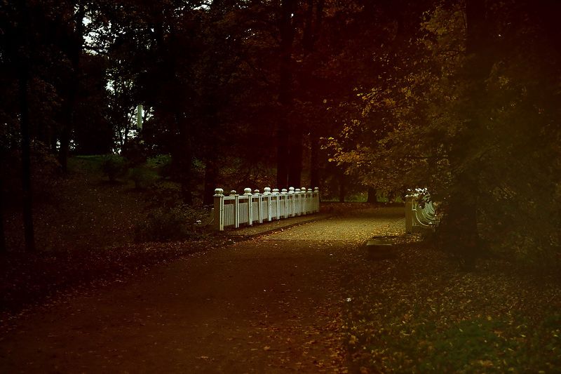 city, nature, autumn A wonderful place фото превью