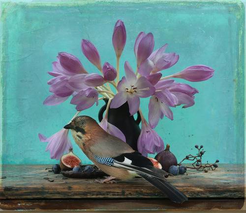 Натюрморт с инжиром