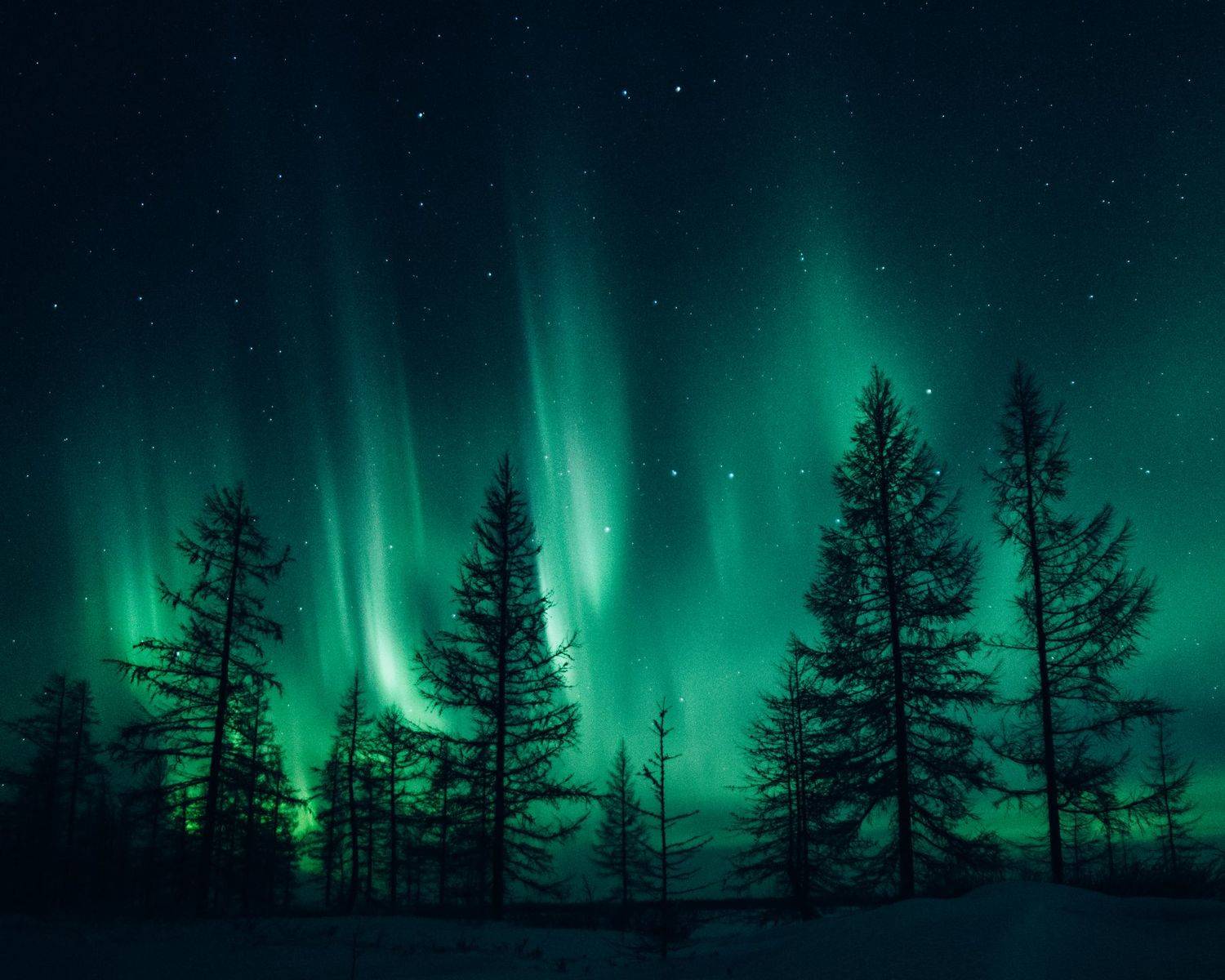 , Нуреев Камиль