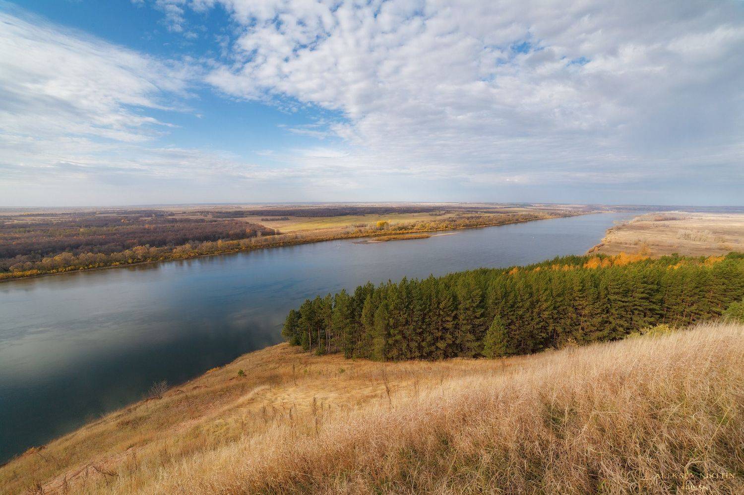 , Никитин Алексей