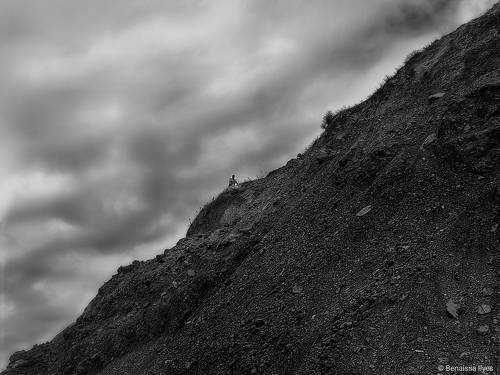 Climb to the top