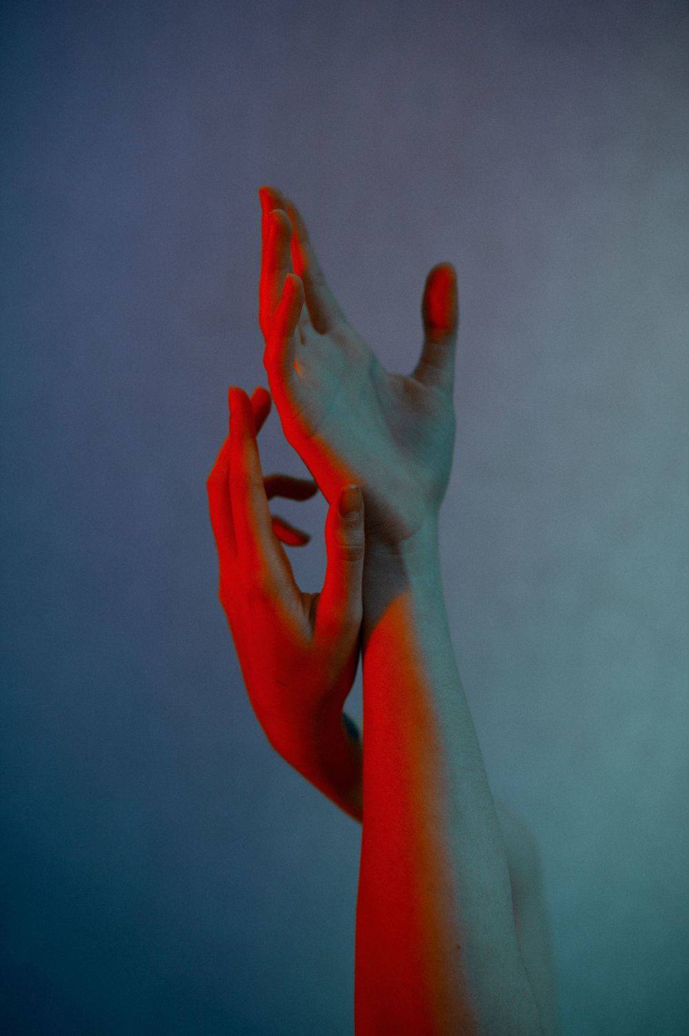 , Дмитрий Плеханов