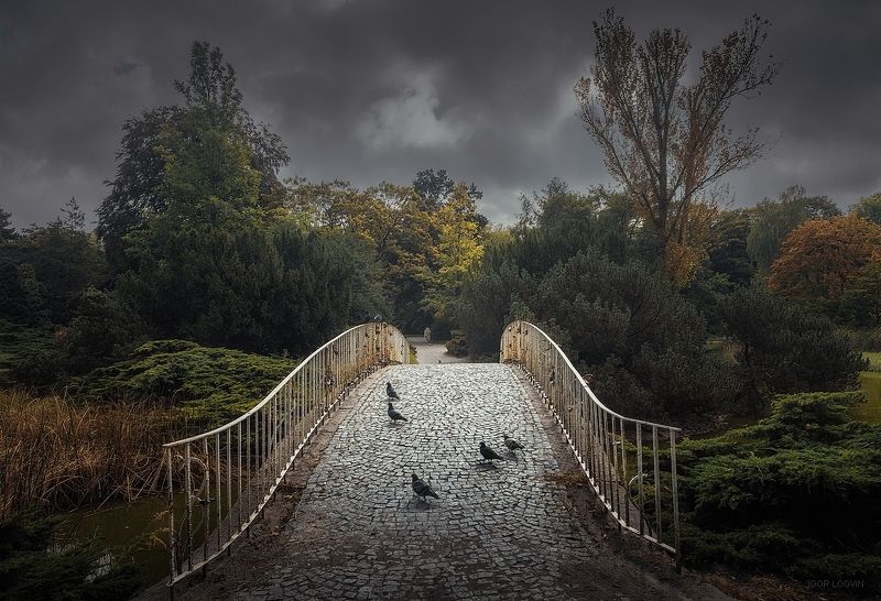 Парк Понятовского фото превью