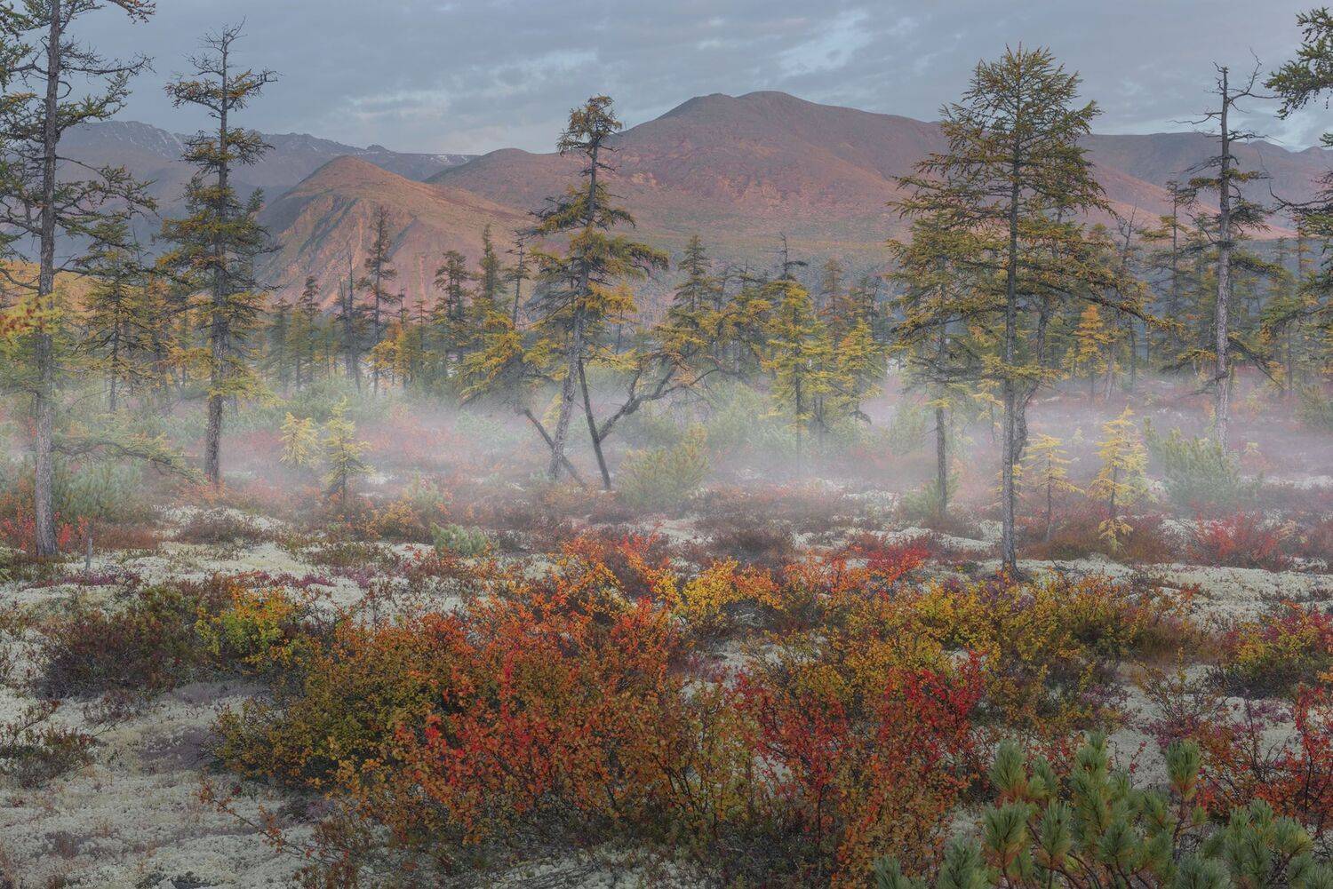 Фототуры с Владимиром Рябковым, #озероджекалондона #колыма #loves_russia #nikonrussia #landscape_russia #ru_landscape  #русскийсевер #landscapephotography #photoarena_nature #Russiannature #большаястрана #russpasibo #topnature #lovelyRussia #природаРоссии, Владимир Рябков