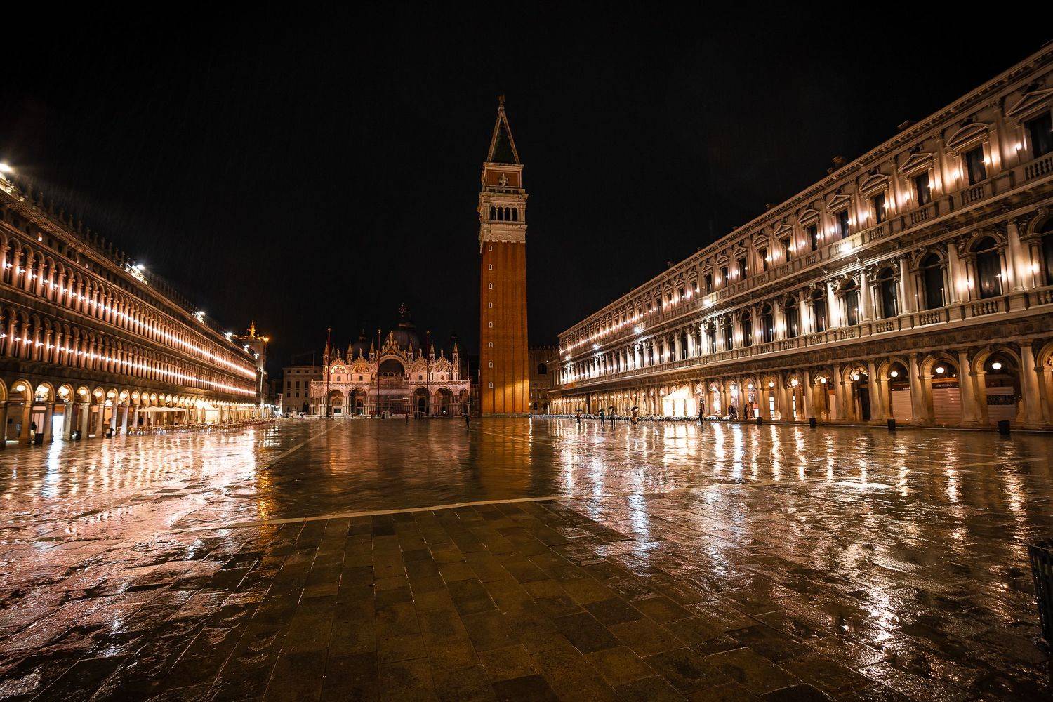 , Максимова Дария