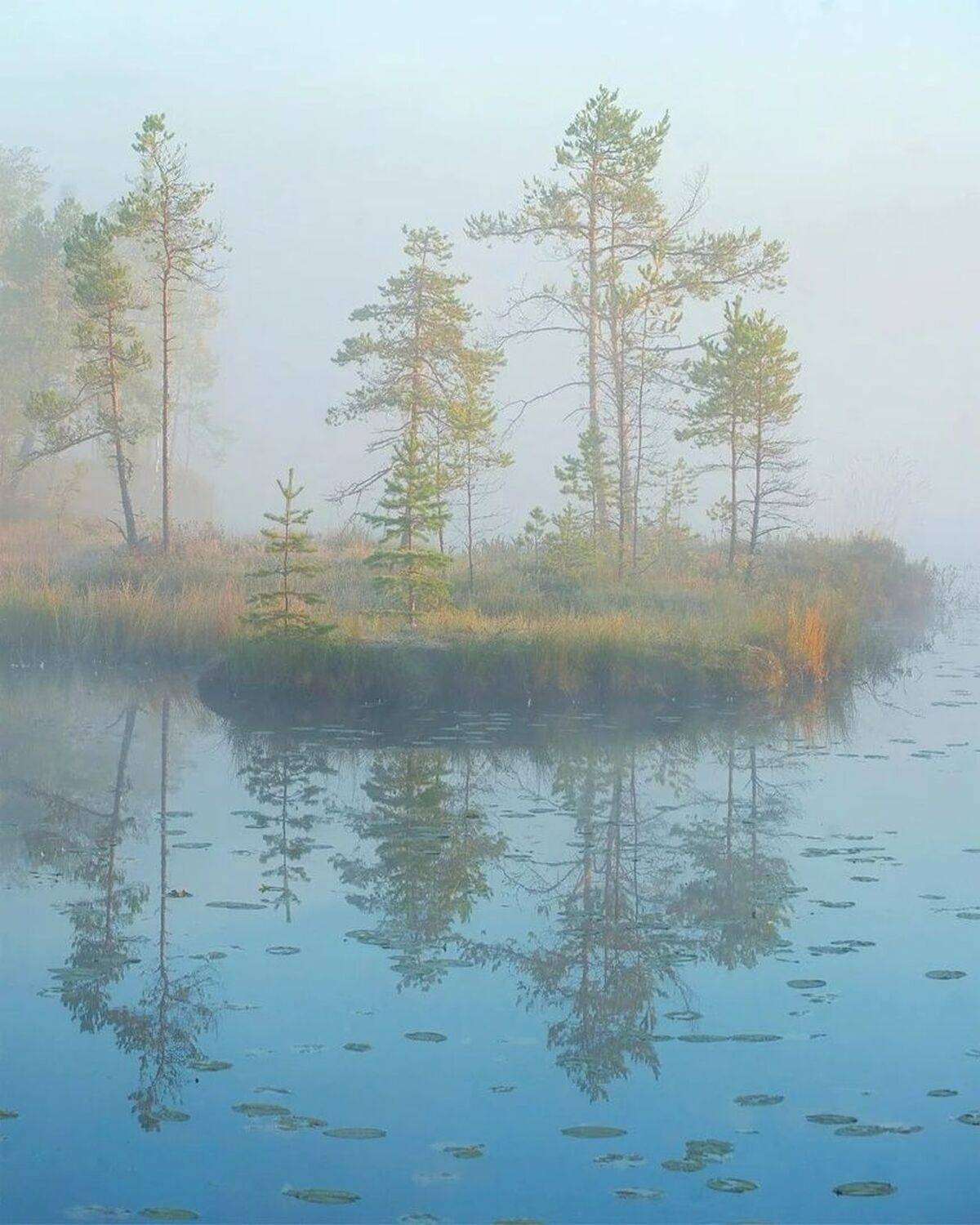 , Петр Косых