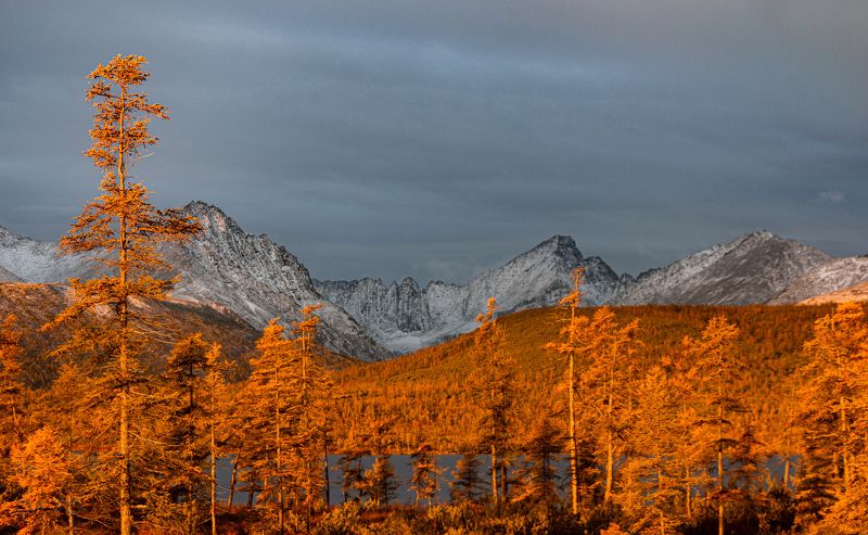 пейзаж, осень, озеро, озеро Джека Лондона, природа, горы, лес, Россия, природа России, nature, landscape, lake, Russia, autumn, снег, рассвет, восход, snow, dawn, sunrise Пламенная заря в пасмурный день фото превью
