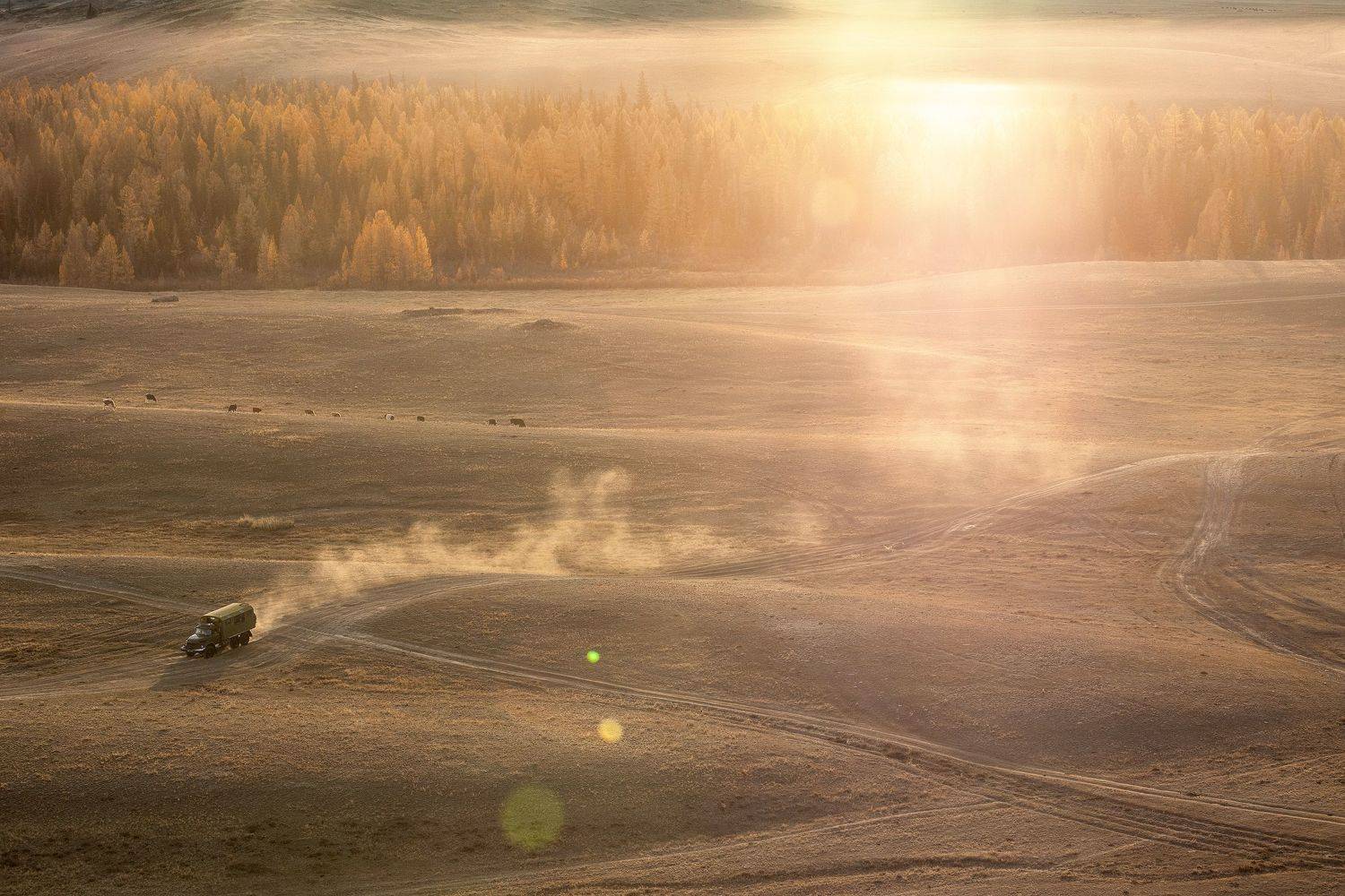 алтай, Алексей Гурьев