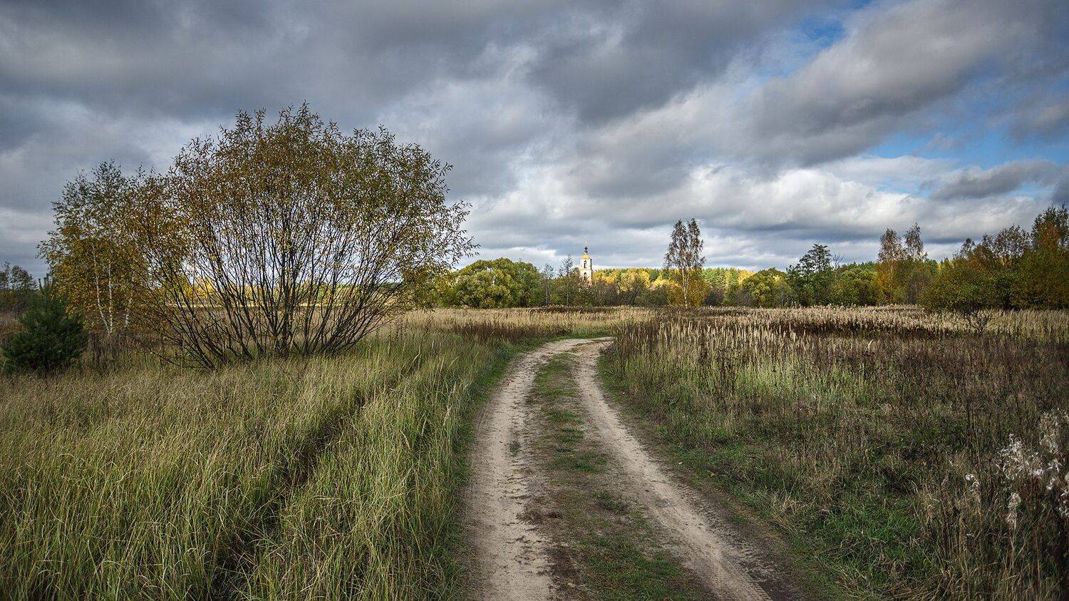 , Андреев Николай